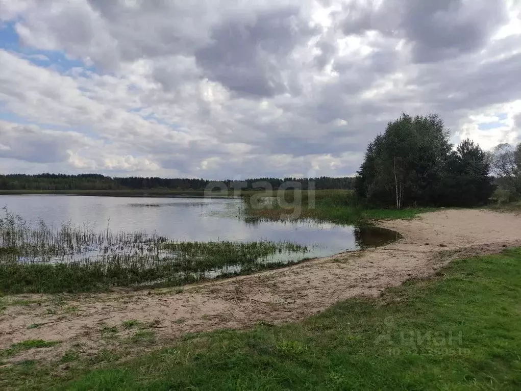 Участок в Псковская область, Печорский муниципальный округ, д. ... - Фото 1