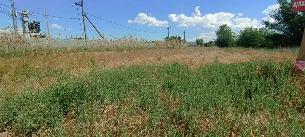Участок в Волгоградская область, Среднеахтубинский район, Фрунзенское ... - Фото 2