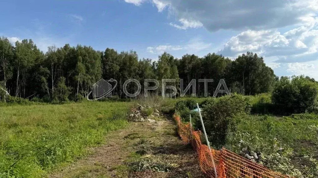 Участок в Тюменская область, Нижнетавдинский муниципальный округ, ... - Фото 1