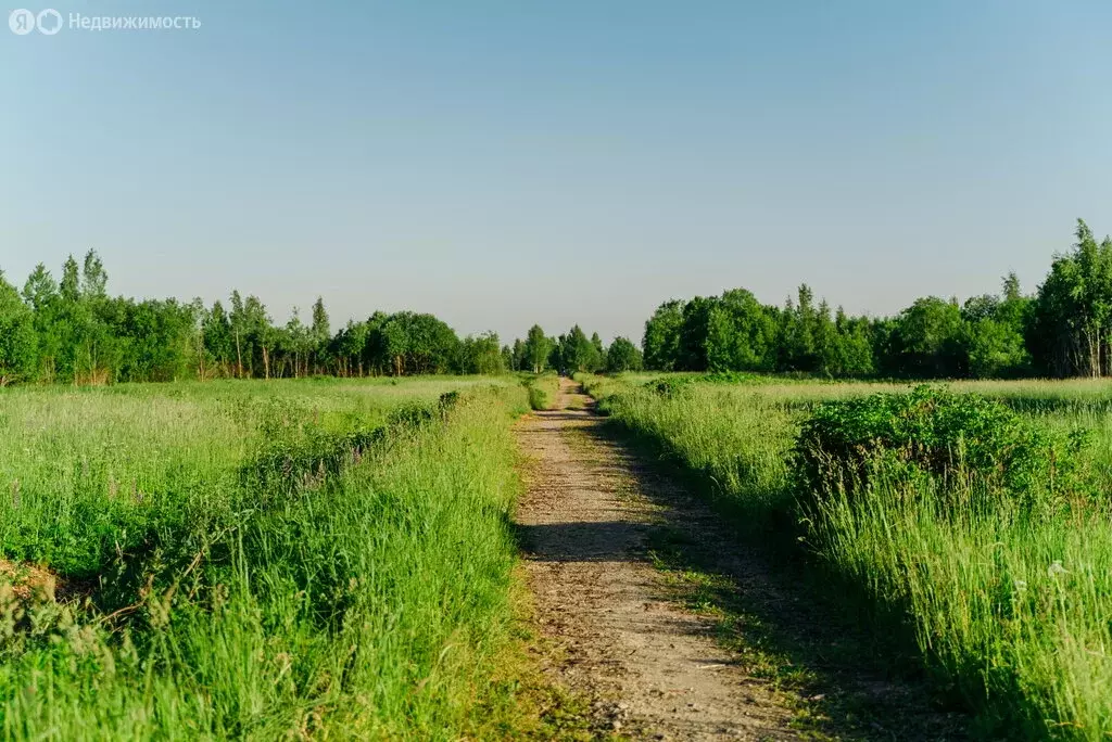 Участок в Санкт-Петербург, Пушкинский район (12 м) - Фото 1