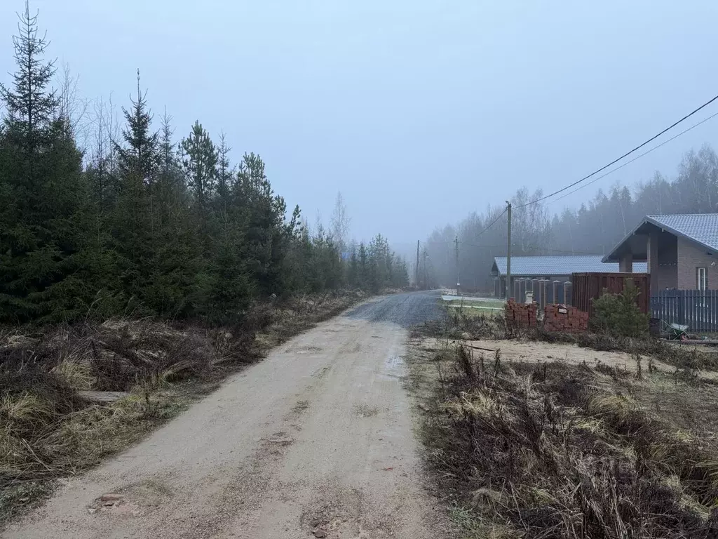 Участок в Владимирская область, Александров ул. Спасская, 67 (10.0 ... - Фото 2