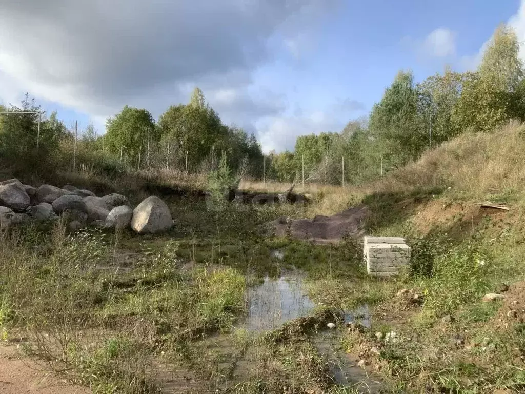 Участок в Ленинградская область, Выборгский район, Полянское с/пос, ... - Фото 2