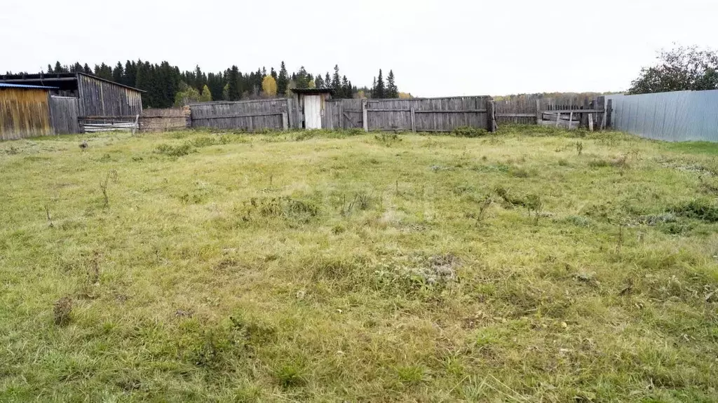 Участок в Свердловская область, Тугулымский муниципальный округ, с. ... - Фото 1