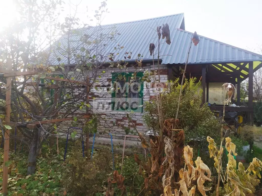 Дом в Курганская область, Курган Дельфин СНТ,  (24 м) - Фото 2