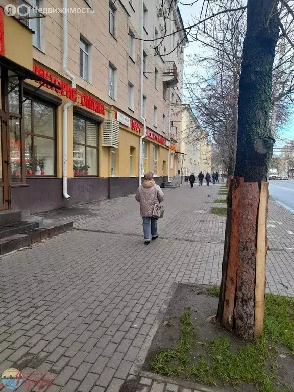 Помещение свободного назначения (41 м) - Фото 1