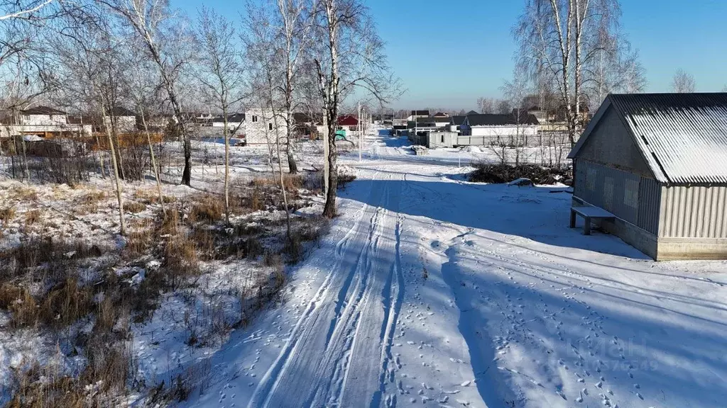 Участок в Новосибирская область, Новосибирский район, Морской ... - Фото 1