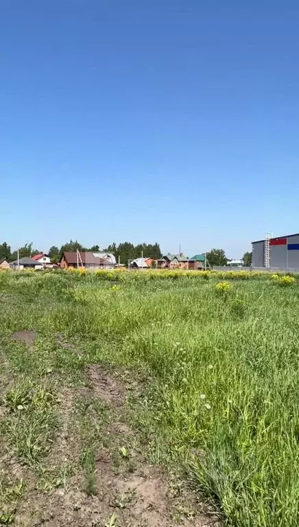 Участок в Новосибирская область, Новосибирский район, Станционный ... - Фото 1