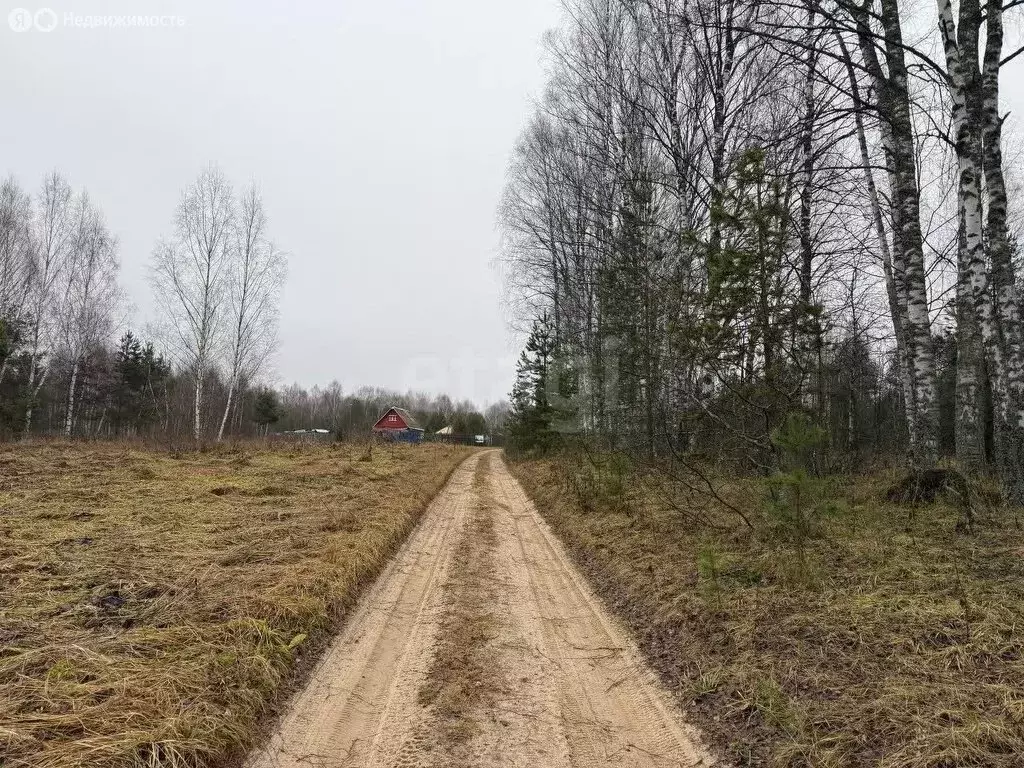 Участок в муниципальное образование Новосельское, СДТ Дача (15 м) - Фото 2