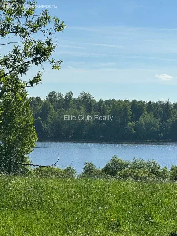 Участок в Выборгский район, Селезнёвское сельское поселение, ... - Фото 1