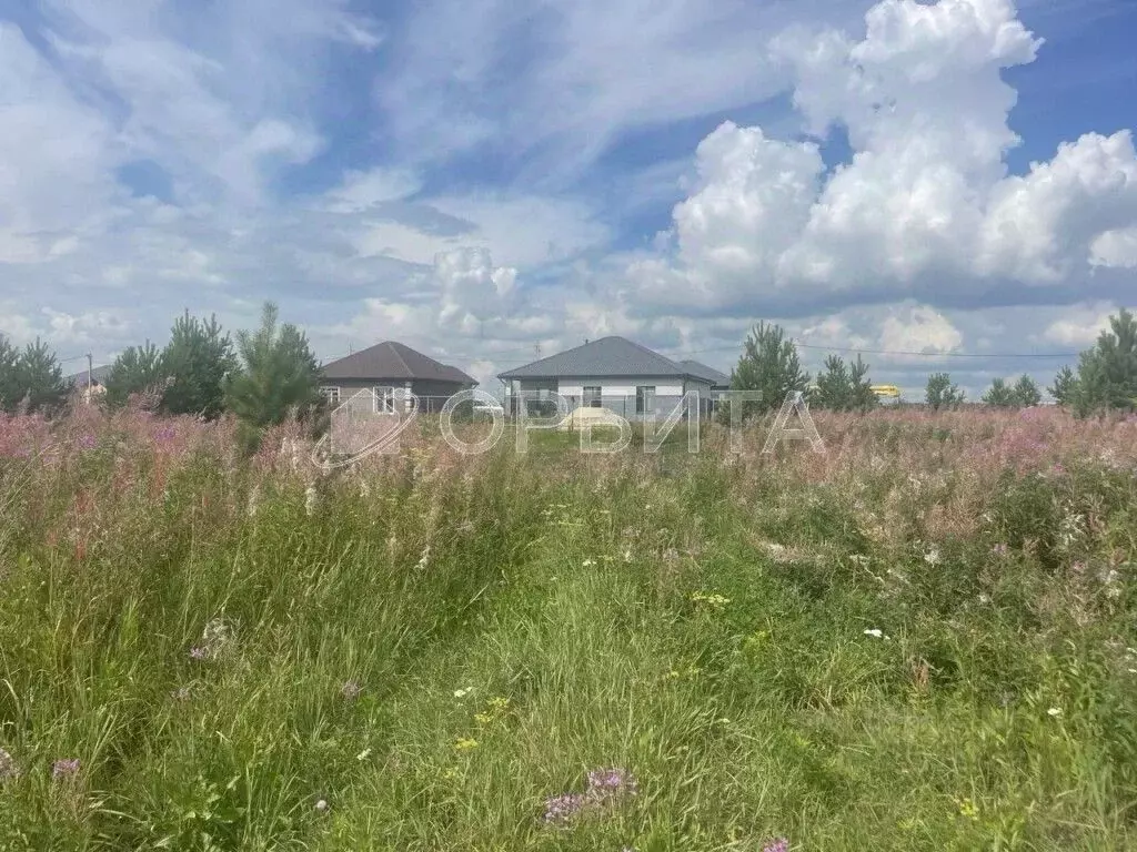 Участок в Тюменская область, Тюменский муниципальный округ, д. Елань ... - Фото 1