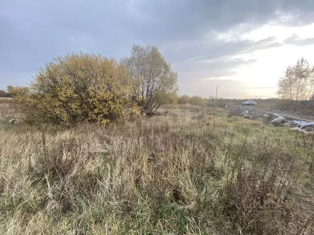 Участок в Воронежская область, Новоусманский район, с. Бабяково ... - Фото 1