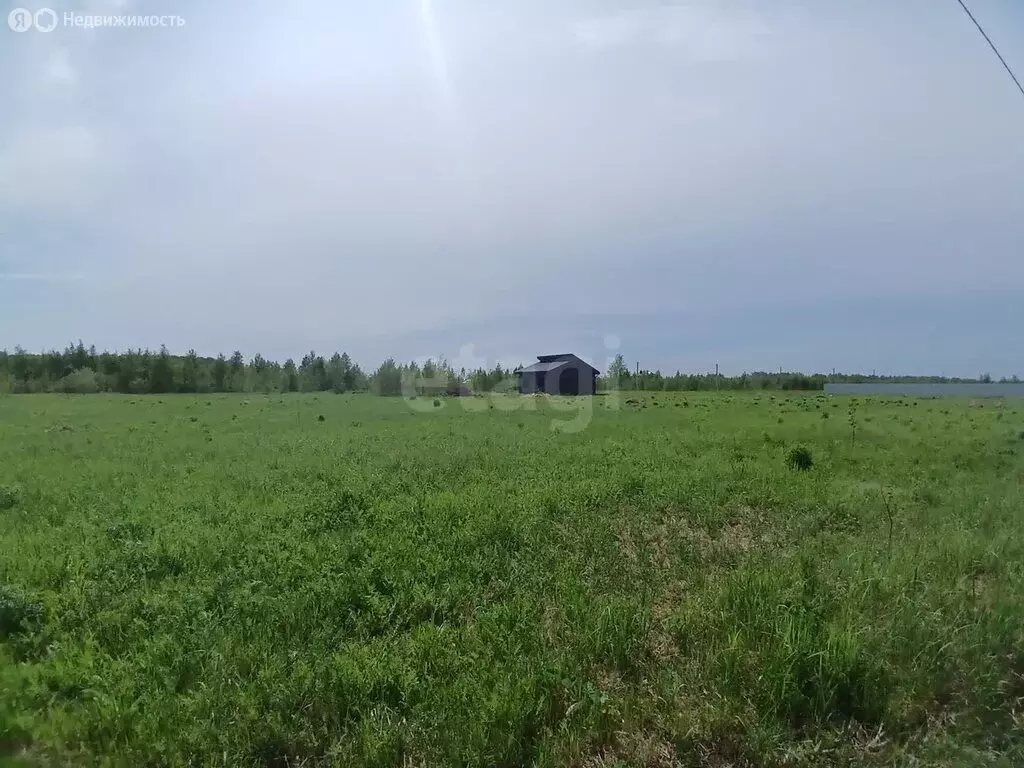 Участок в деревня Яметкино, улица Яметкино (16.49 м) - Фото 0