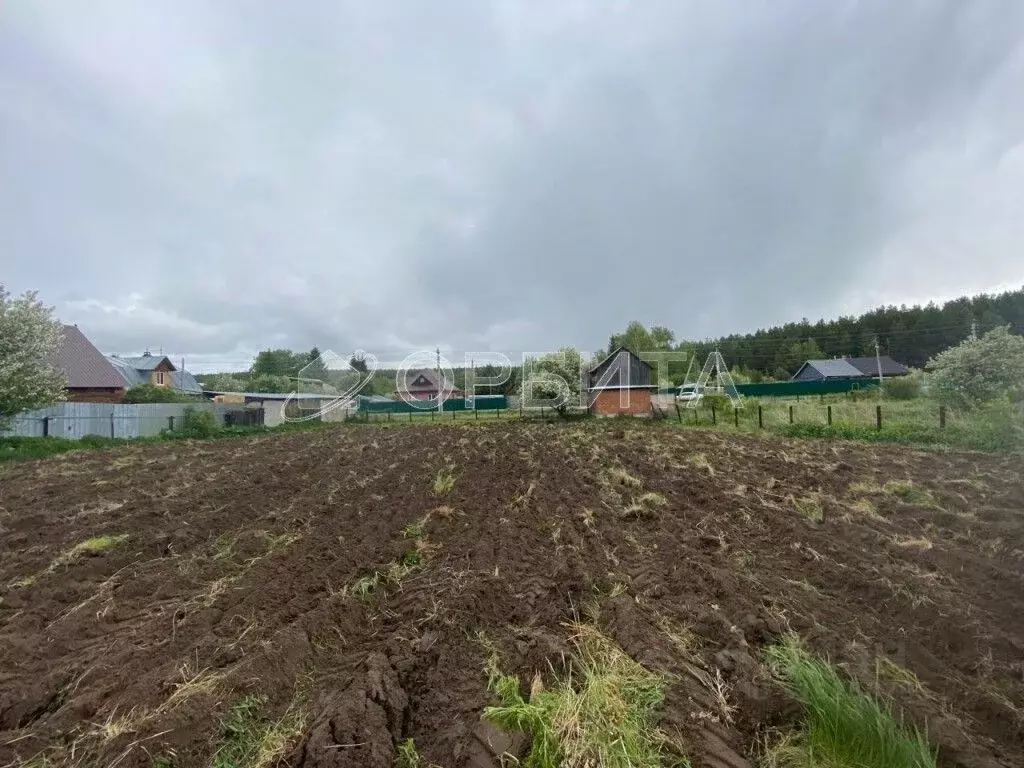 Участок в Тюменская область, Тюменский район, д. Костылева  (14.0 ... - Фото 1