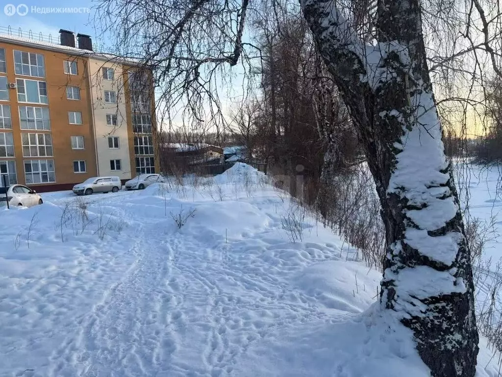 1-комнатная квартира: село Майма, улица Ленина, 60В (37.4 м) - Фото 1