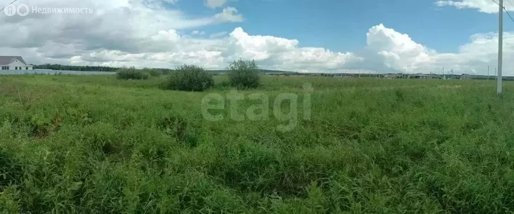 Участок в Кармаскалинский район, Подлубовский сельсовет, деревня ... - Фото 2