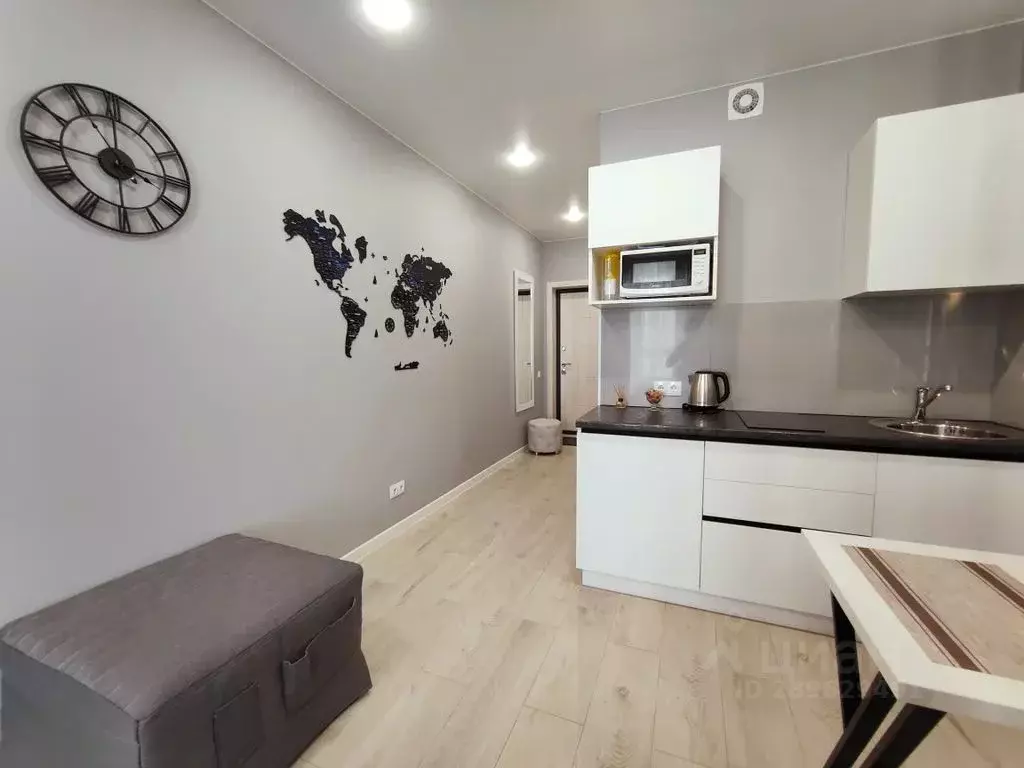 Студия Пензенская область, Пенза ул. Измайлова, 58Ак1 (28.0 м) - Фото 2