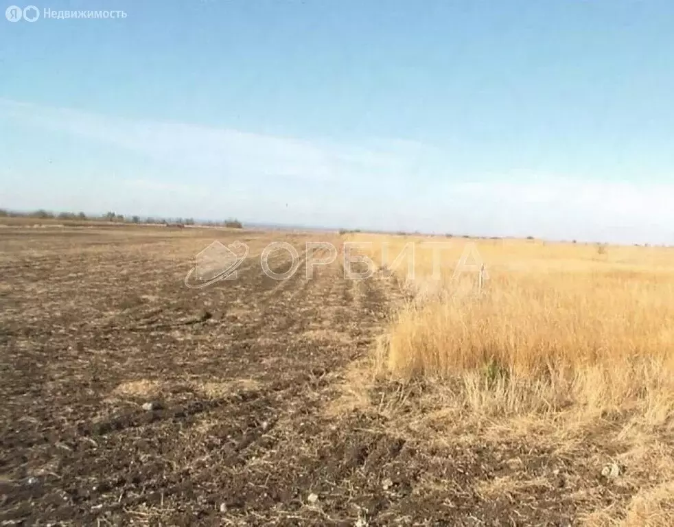 Участок в Усть-Ницинское сельское поселение, деревня Бурмакина, Новая ... - Фото 2