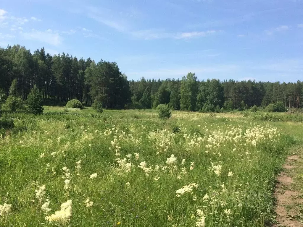 Участок в Свердловская область, Березовский пл. Торговая (6.9 сот.) - Фото 0