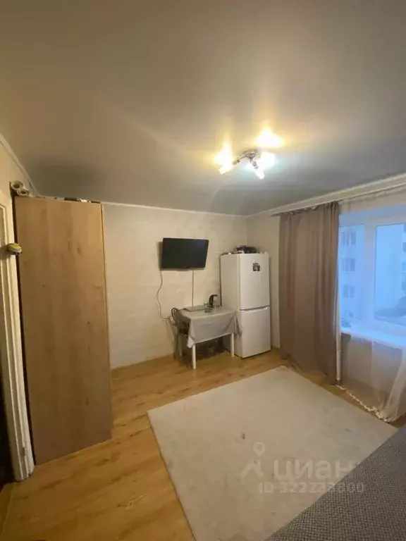 Студия Башкортостан, Уфа ул. Менделеева, 141 (18.0 м) - Фото 1
