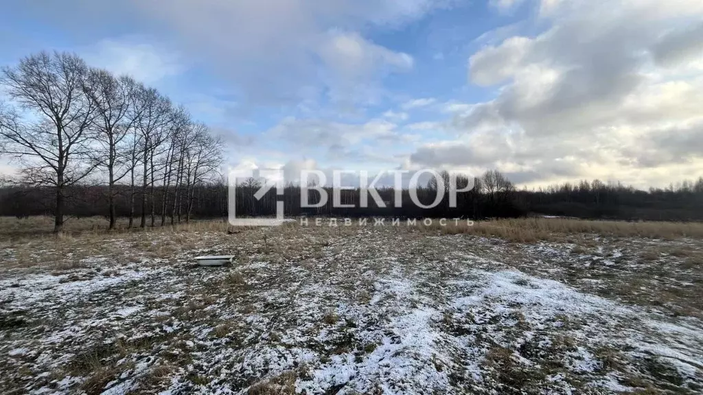 Участок в Ярославская область, Ярославский муниципальный округ, д. ... - Фото 2