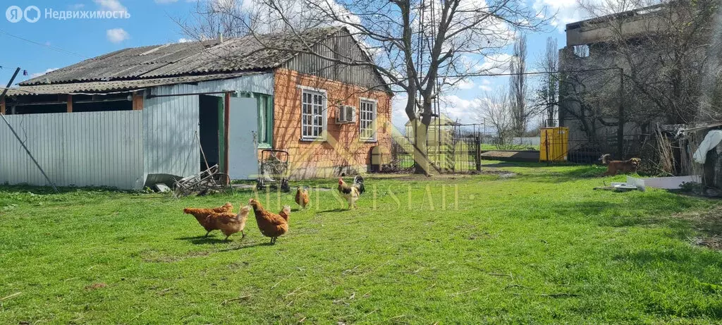 Дом в село Дарг-Кох, 6 (66 м) - Фото 2