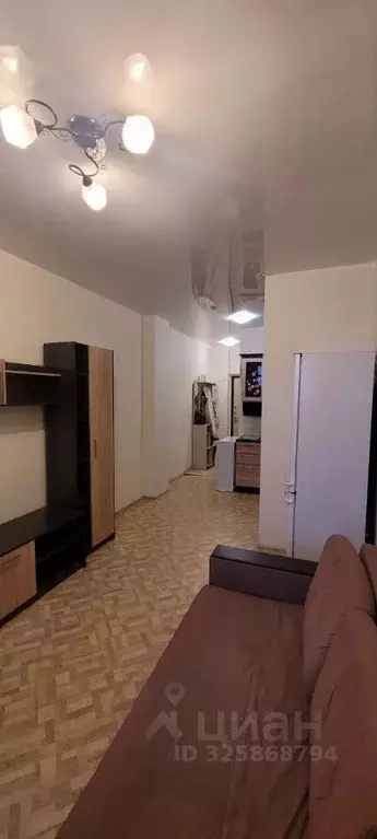 Студия Санкт-Петербург ул. Орджоникидзе, 52 (27.0 м) - Фото 2