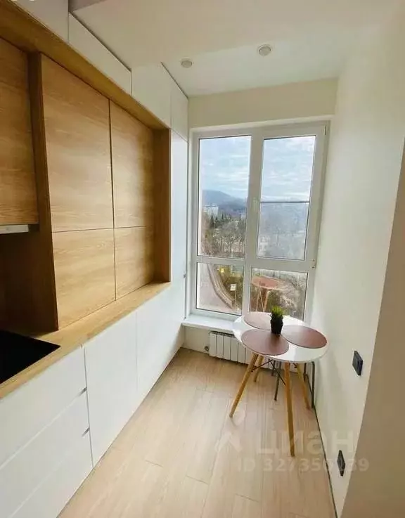 Студия Краснодарский край, Сочи городской округ, Дагомыс пгт ул. ... - Фото 2