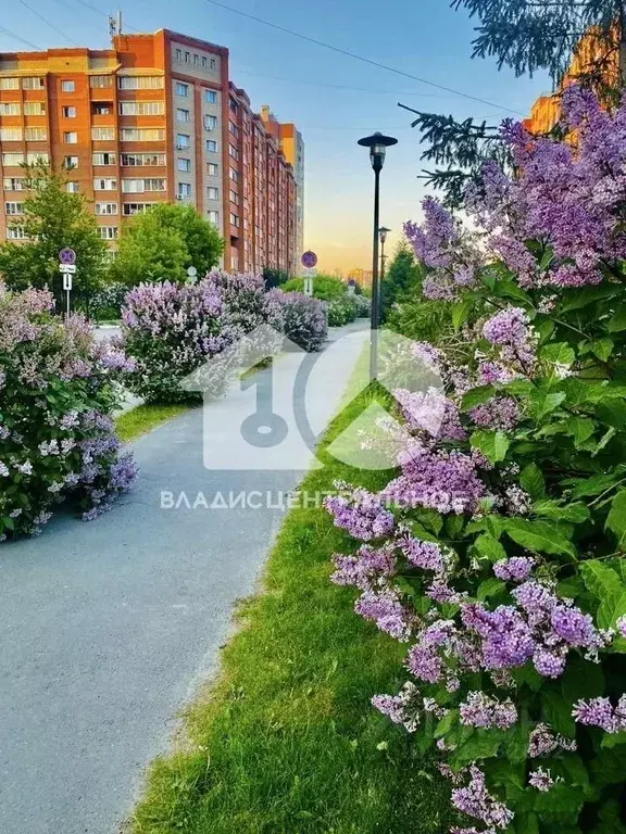 2-к кв. Новосибирская область, Новосибирск Ельцовская ул., 4/1 (56.0 ... - Фото 1