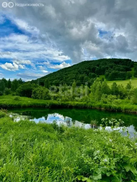 Участок в Солонешенский район, село Солонешное (530 м) - Фото 1