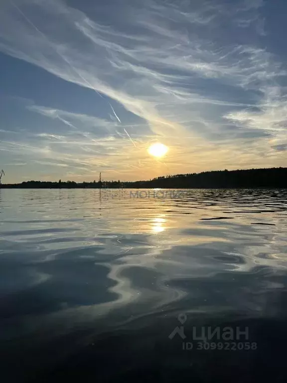 Участок в Нижегородская область, Лысковский район, с. Сельская Маза ... - Фото 0