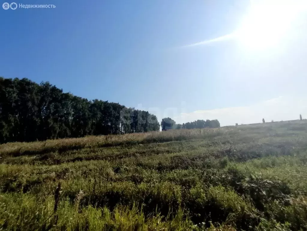 Участок в Стерлитамакский район, Отрадовский сельсовет, село ... - Фото 0