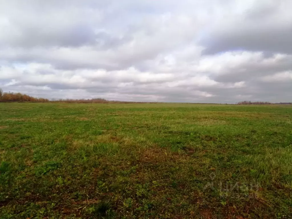 Участок в Владимирская область, Киржачский район, д. Жердеево  (350.0 ... - Фото 1