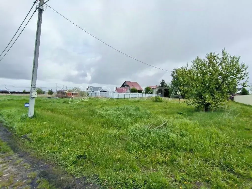 Участок в Тюменская область, Тюмень Аккорд СНТ,  (8.0 сот.) - Фото 1