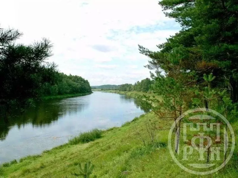 Участок в Ленинградская область, Лужский район, Скребловское с/пос, д. ... - Фото 1