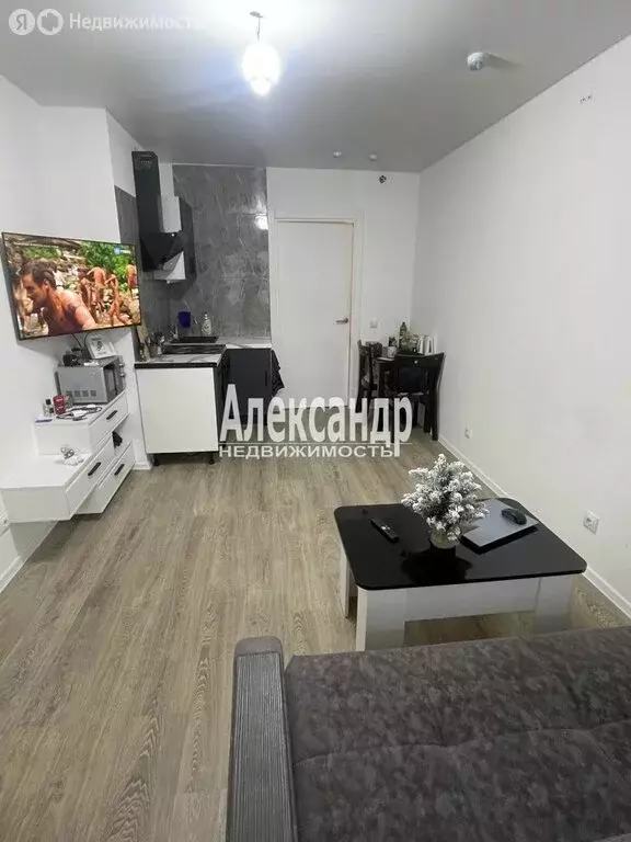 Квартира-студия: Колпино, Балканская дорога, 12к2 (20 м) - Фото 1