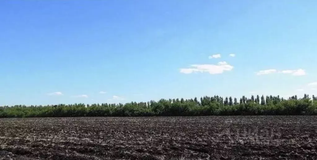 Участок в Новосибирская область, Тогучинский район, д. Гаревка  (55.0 ... - Фото 1