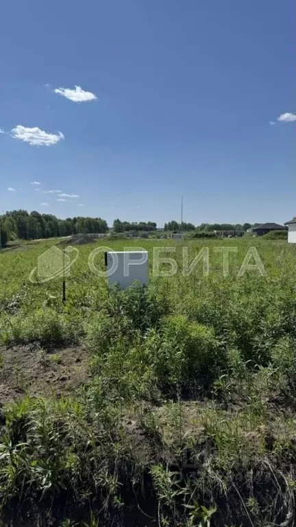 Участок в Тюменская область, Тюменский район, Онегин кп  (10.0 сот.) - Фото 0