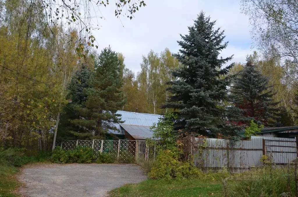 Участок в Нижегородская область, Бор муниципальный округ, д. Дерябино  ... - Фото 2