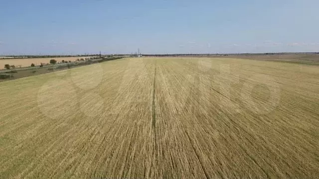 Участок 100 сот. (СНТ, ДНП) - Фото 1