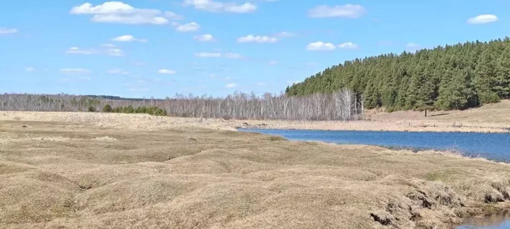 Участок в Иркутская область, Иркутский муниципальный округ, с. Урик ... - Фото 0