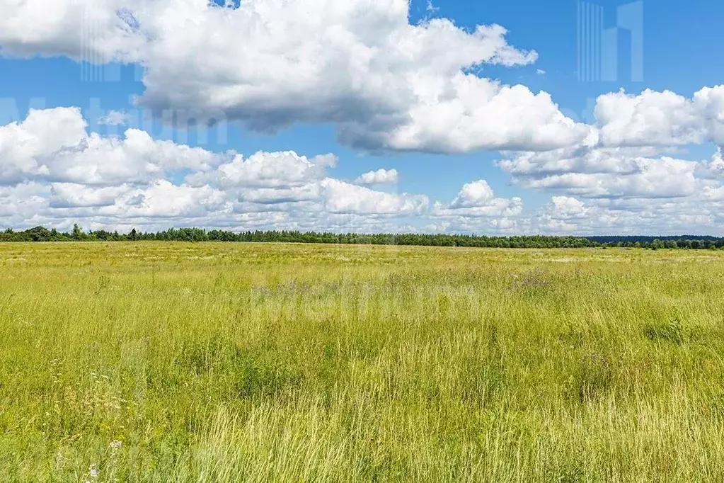 Участок в Московская область, Истра городской округ, д. Чесноково, ... - Фото 1