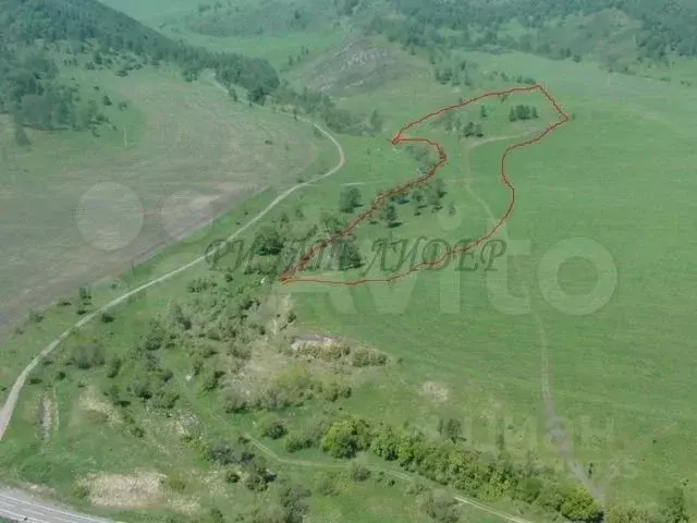 Участок в Алтай, Шебалинский район, с. Шебалино ул. Радуги (990.0 ... - Фото 0