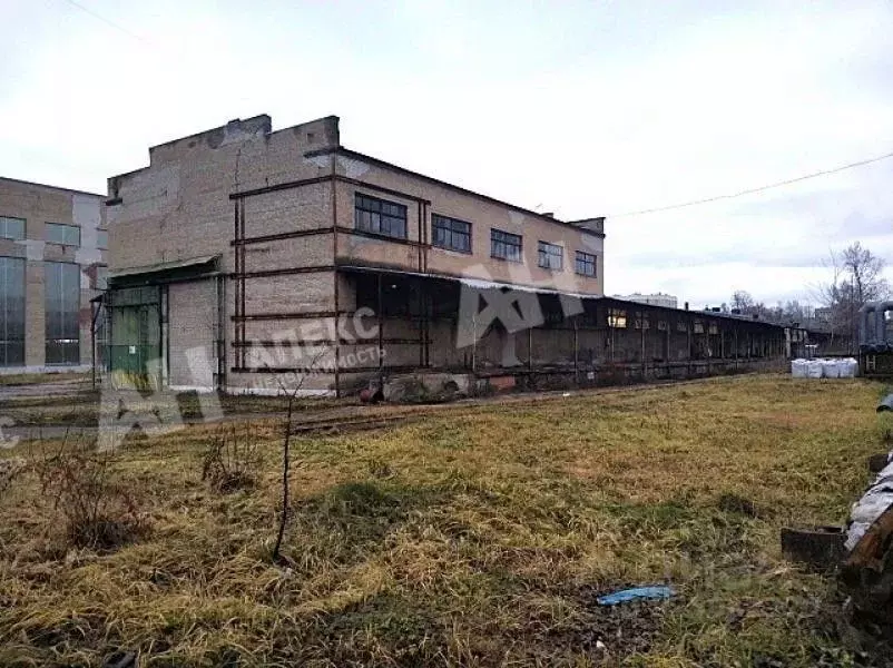 Производственное помещение в Московская область, Балашиха ул. ... - Фото 2