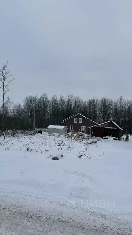 Участок в Новгородская область, Великий Новгород пер. Садовый, 1 (6.0 ... - Фото 1