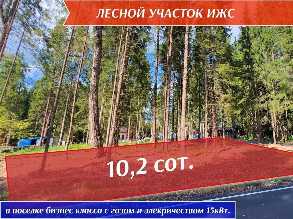 Участок в Московская область, Одинцовский городской округ, д. ... - Фото 1