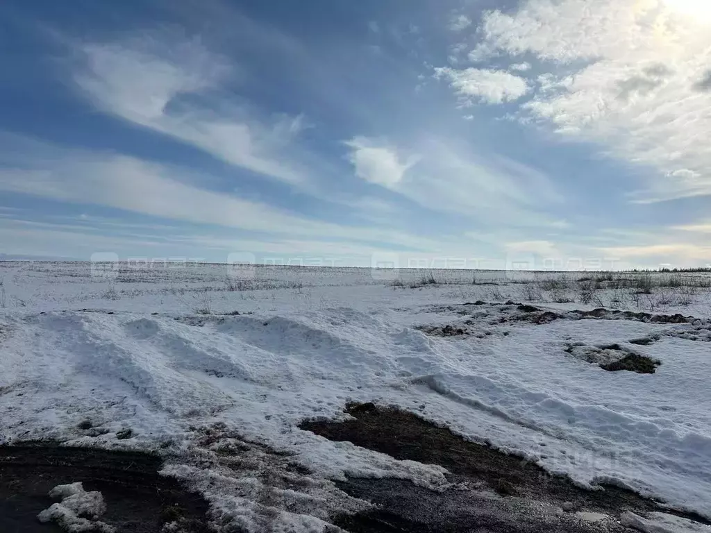 Участок в Татарстан, Лаишевский район, Среднедевятовское с/пос, д. ... - Фото 2