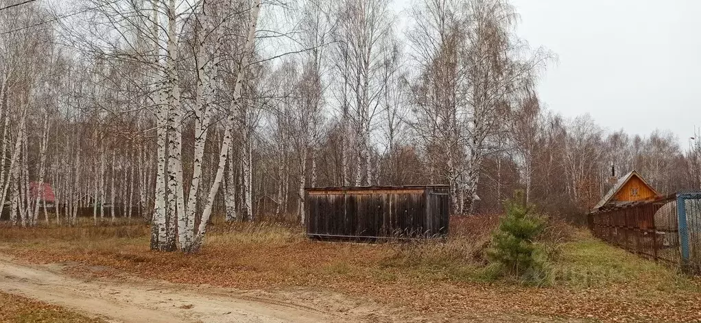 Участок в Нижегородская область, Лысковский район, с. Сельская Маза  ... - Фото 0