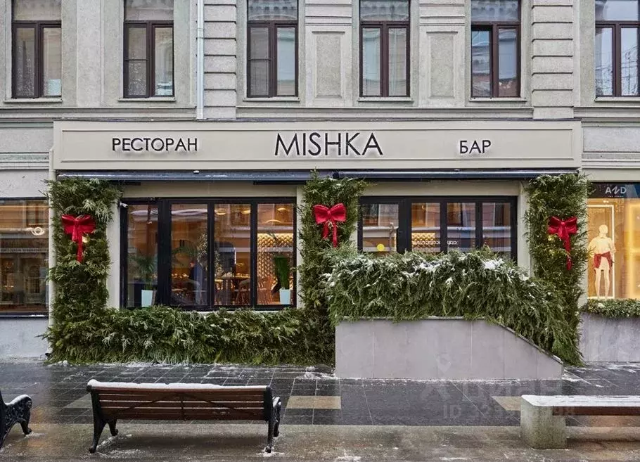 Помещение свободного назначения в Москва ул. Большая Дмитровка, 11 ... - Фото 0