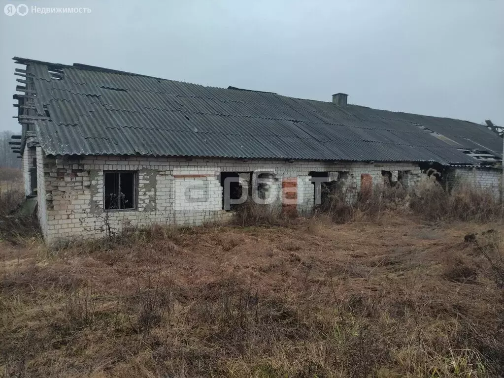 Участок в Гаврилово-Посадский район, Петровское городское поселение, ... - Фото 1