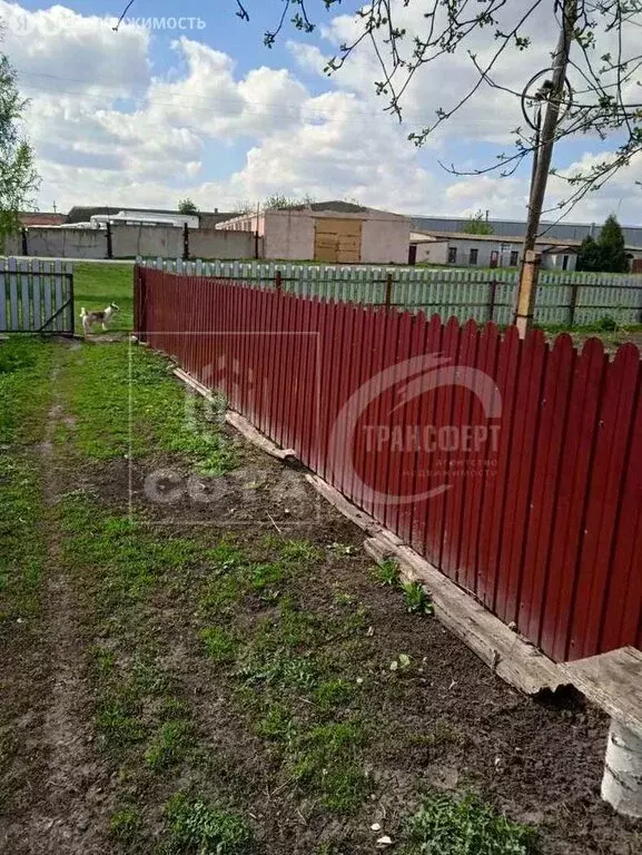 дом в воронежская область, село верхняя хава (55 м) - Фото 0